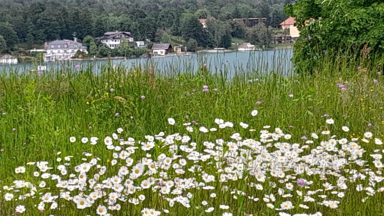 Glanz Und Gloria Velden! Woerthersee In 5 Min Zu Fuss Erreichbar! Фельден-ам-Вертерзе Екстер'єр фото